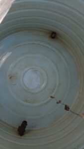 20190226_091648